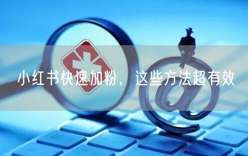 小红书快速加粉，这些方法超有效