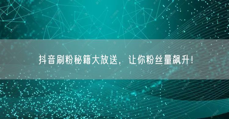 抖音刷粉秘籍大放送，让你粉丝量飙升！