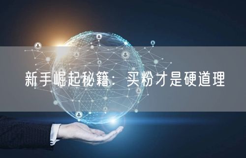 新手崛起秘籍：买粉才是硬道理