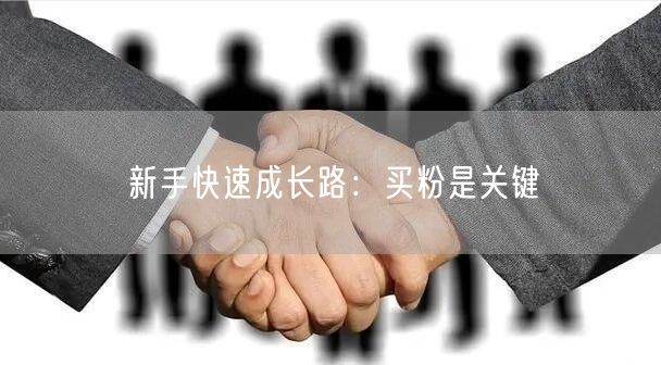 新手快速成长路：买粉是关键