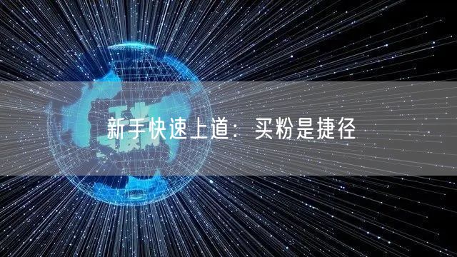 新手快速上道：买粉是捷径