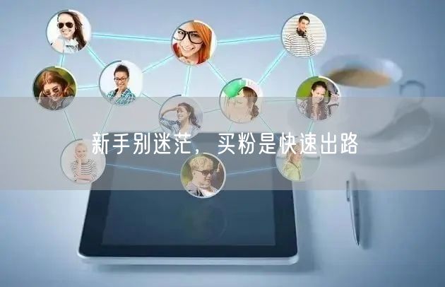 新手别迷茫，买粉是快速出路