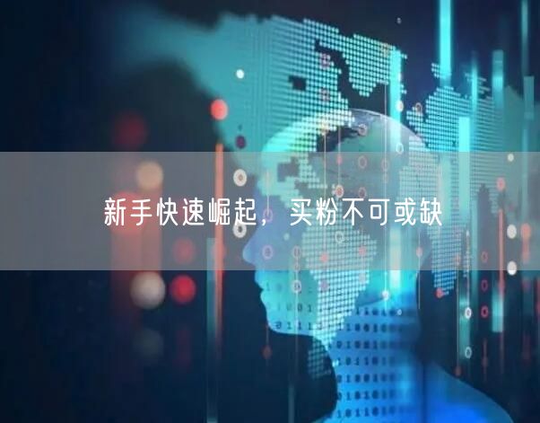 新手快速崛起，买粉不可或缺