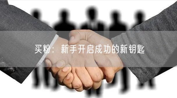 买粉：新手开启成功的新钥匙