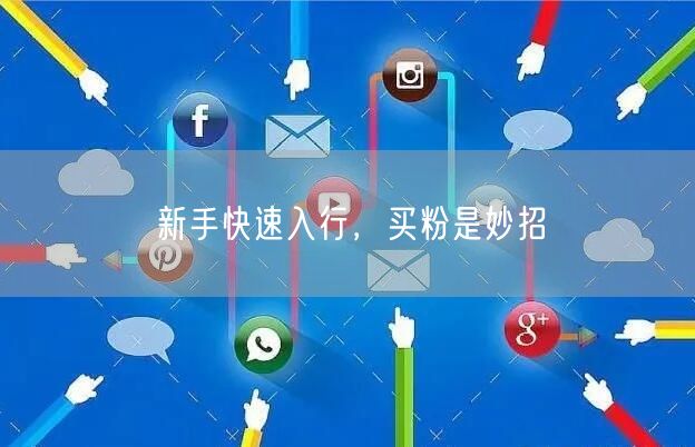 新手快速入行，买粉是妙招