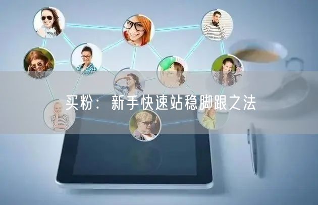 买粉：新手快速站稳脚跟之法