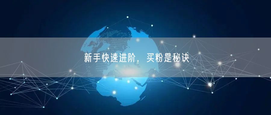 新手快速进阶，买粉是秘诀