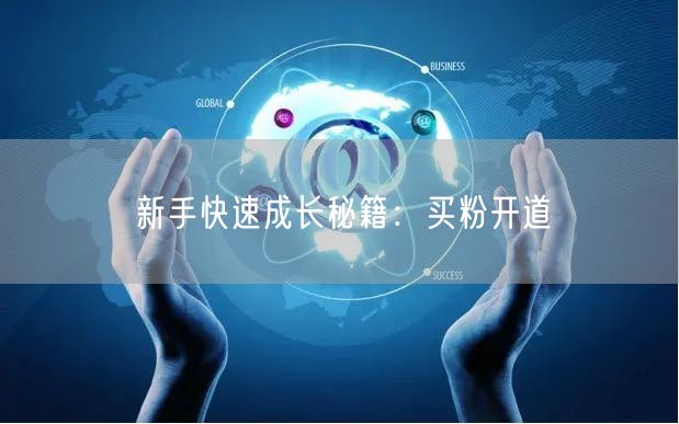 新手快速成长秘籍：买粉开道