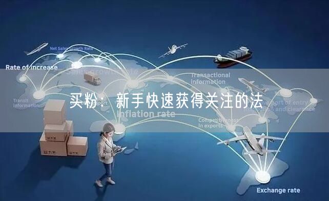 买粉：新手快速获得关注的法