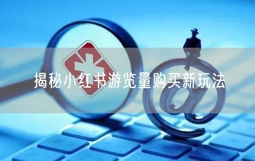 揭秘小红书游览量购买新玩法