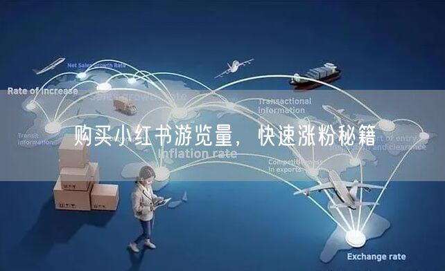 购买小红书游览量，快速涨粉秘籍