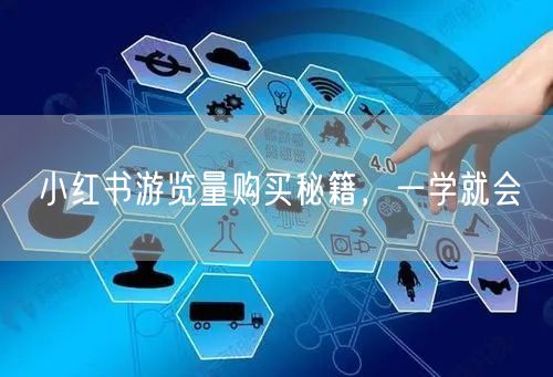 小红书游览量购买秘籍，一学就会