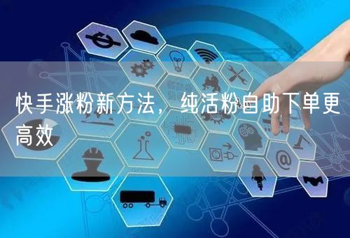 快手涨粉新方法，纯活粉自助下单更高效