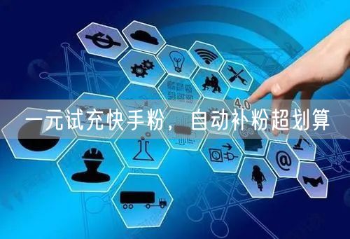 一元试充快手粉，自动补粉超划算