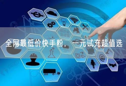 全网最低价快手粉，一元试充超值选