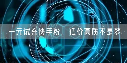 一元试充快手粉，低价高质不是梦