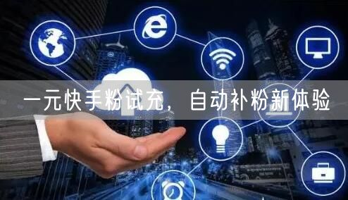 一元快手粉试充，自动补粉新体验