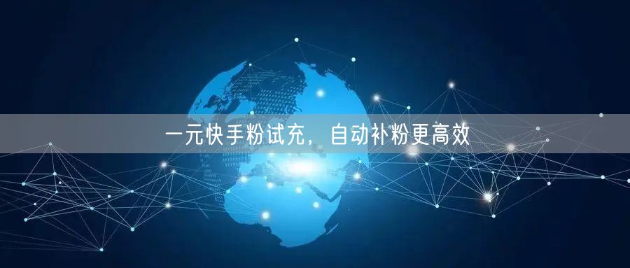 一元快手粉试充，自动补粉更高效