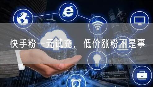快手粉一元试充，低价涨粉不是事