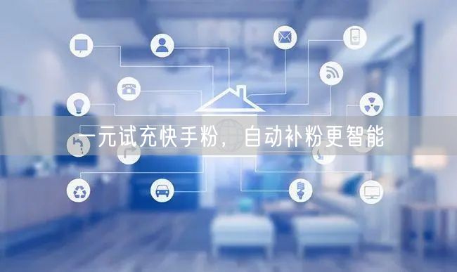 一元试充快手粉，自动补粉更智能
