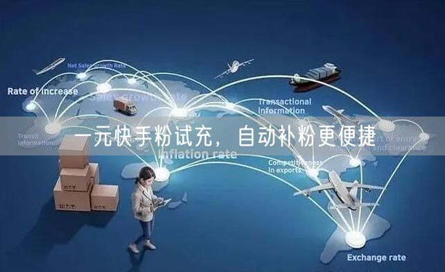 一元快手粉试充，自动补粉更便捷