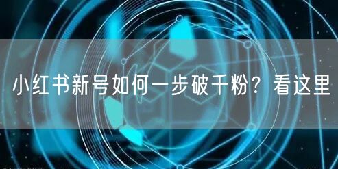 小红书新号如何一步破千粉？看这里