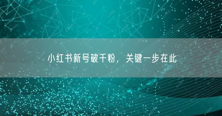 小红书新号破千粉，关键一步在此