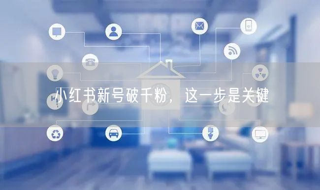 小红书新号破千粉，这一步是关键