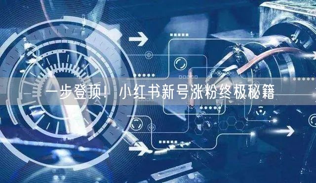 一步登顶！小红书新号涨粉终极秘籍